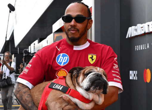 Lewis Hamilton confirmó que su perrito, Roscoe, falleció después de días de luchar por su vida